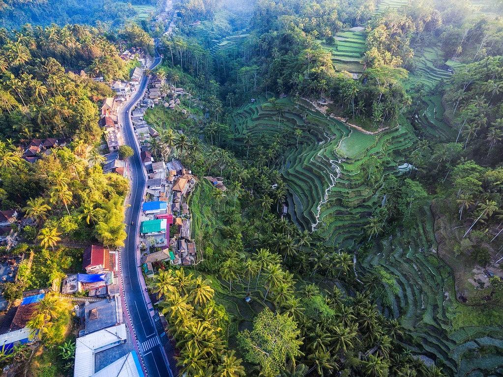 Tegalalang Rice Terrace: Bali's Verdant Wonder
